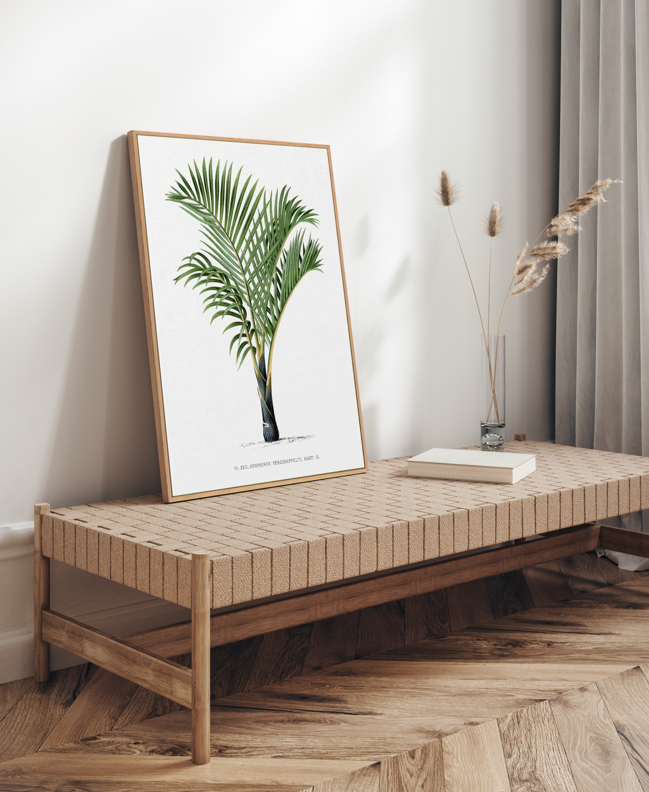 Hyophorbe Verschaffelti Vintage Palm Poster | Framed Canvas Art Print