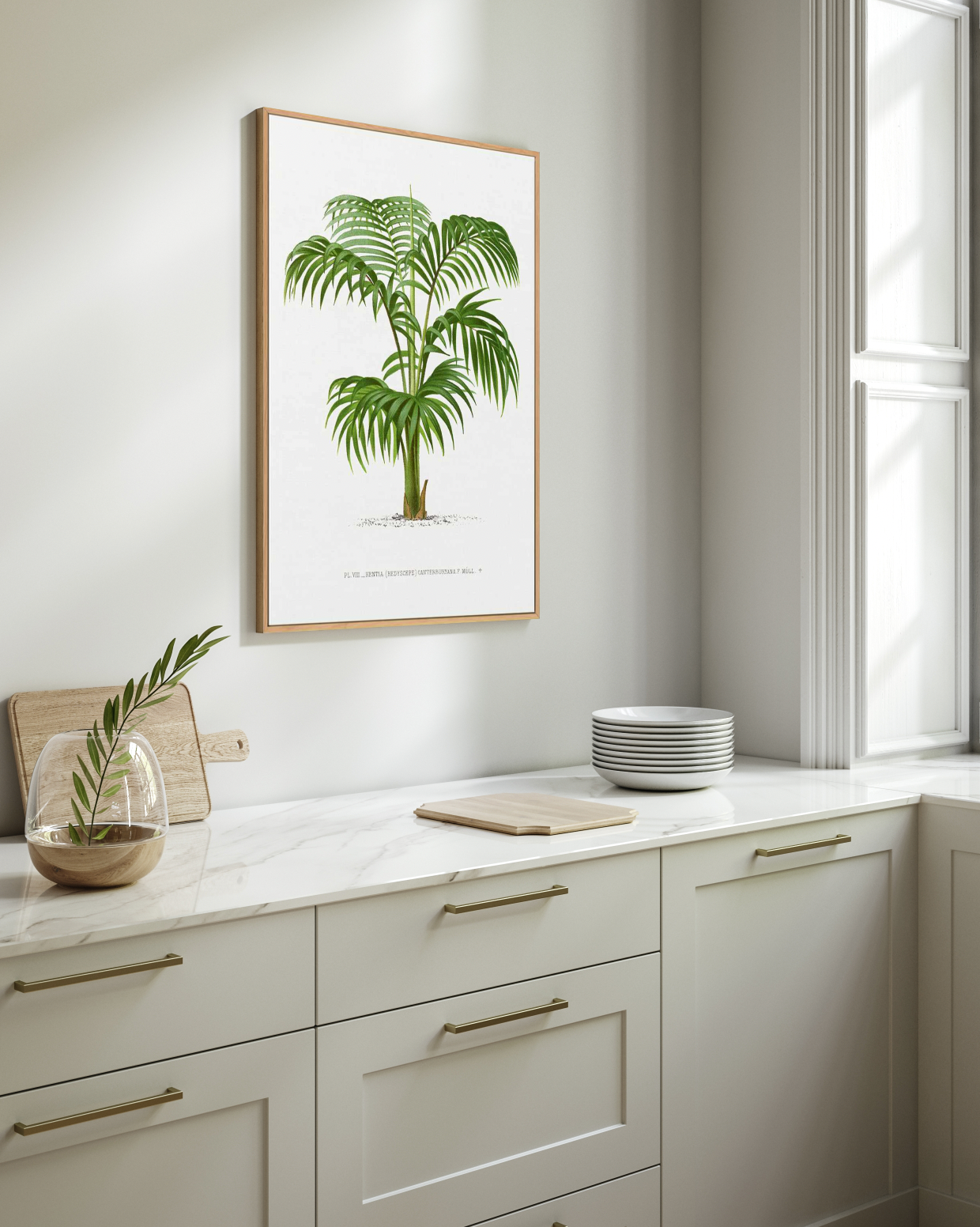 Kentia Canterburyana Vintage Palm Poster | Framed Canvas Art Print