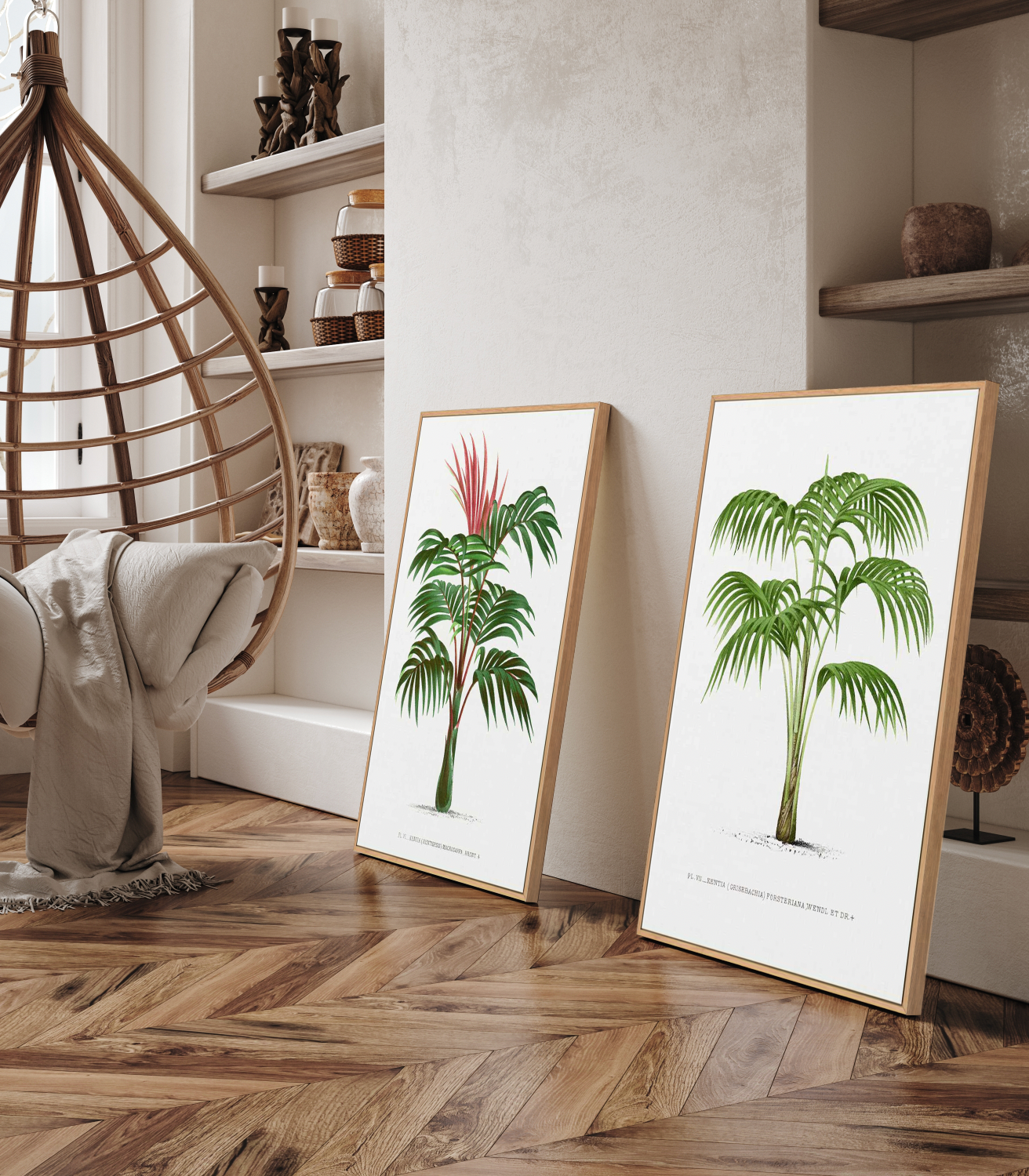 Kentia Macrocarpa Vintage Palm Poster | Framed Canvas Art Print