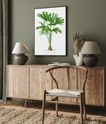 Licuala Spinosa Vintage Palm Poster | Framed Canvas Art Print