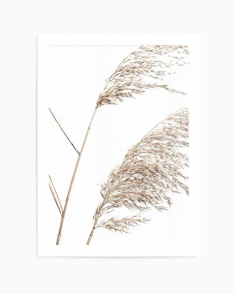 Sea Grass I   Art Print