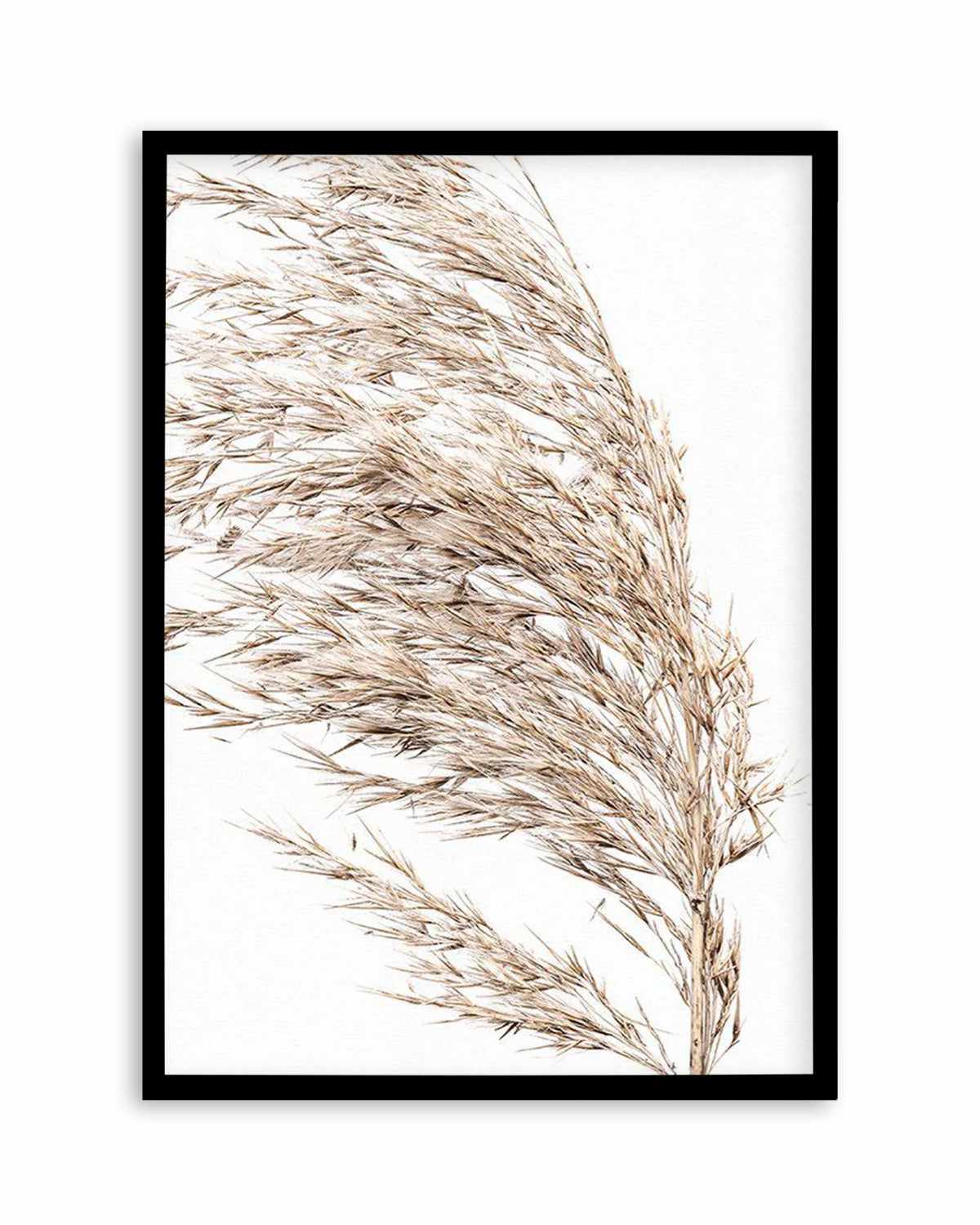 Sea Grass II Art Print