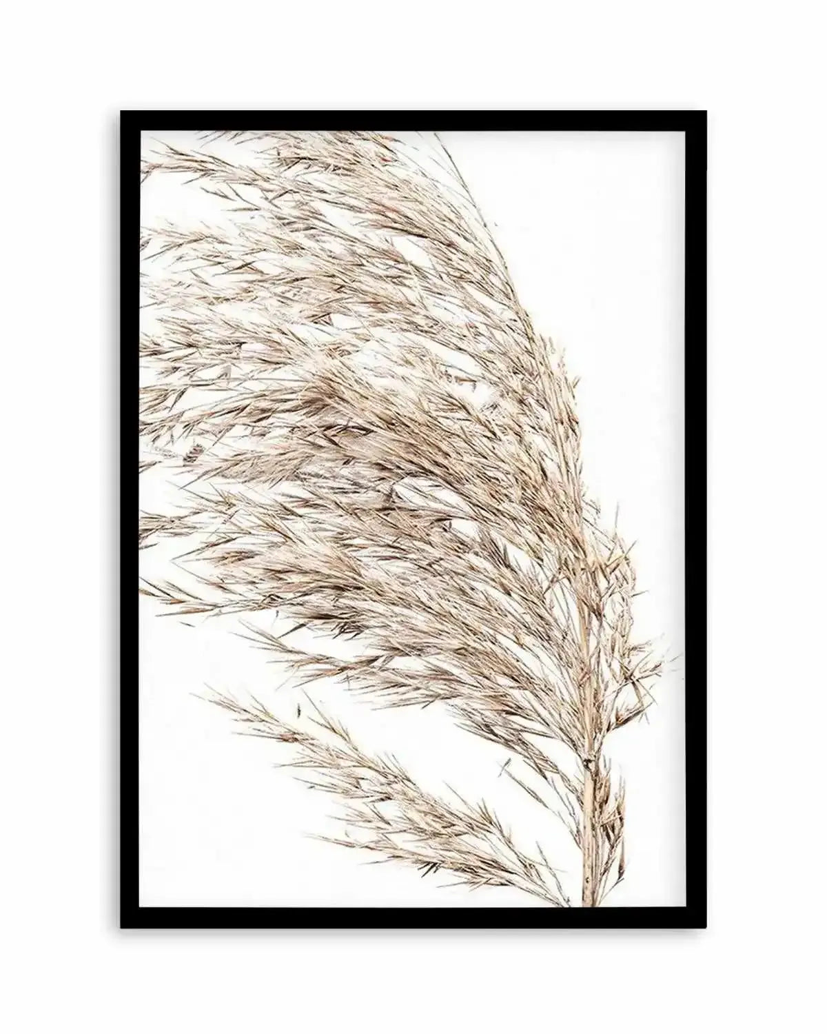 Sea Grass II Art Print from Olive et Oriel where you can shop wallpaper and artworks online