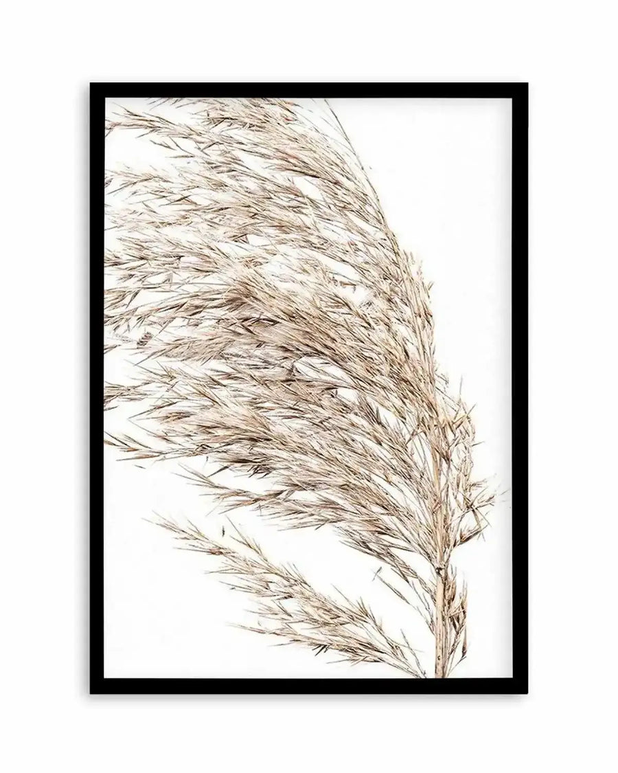 Premium sea-grass-ii from Olive et Oriel