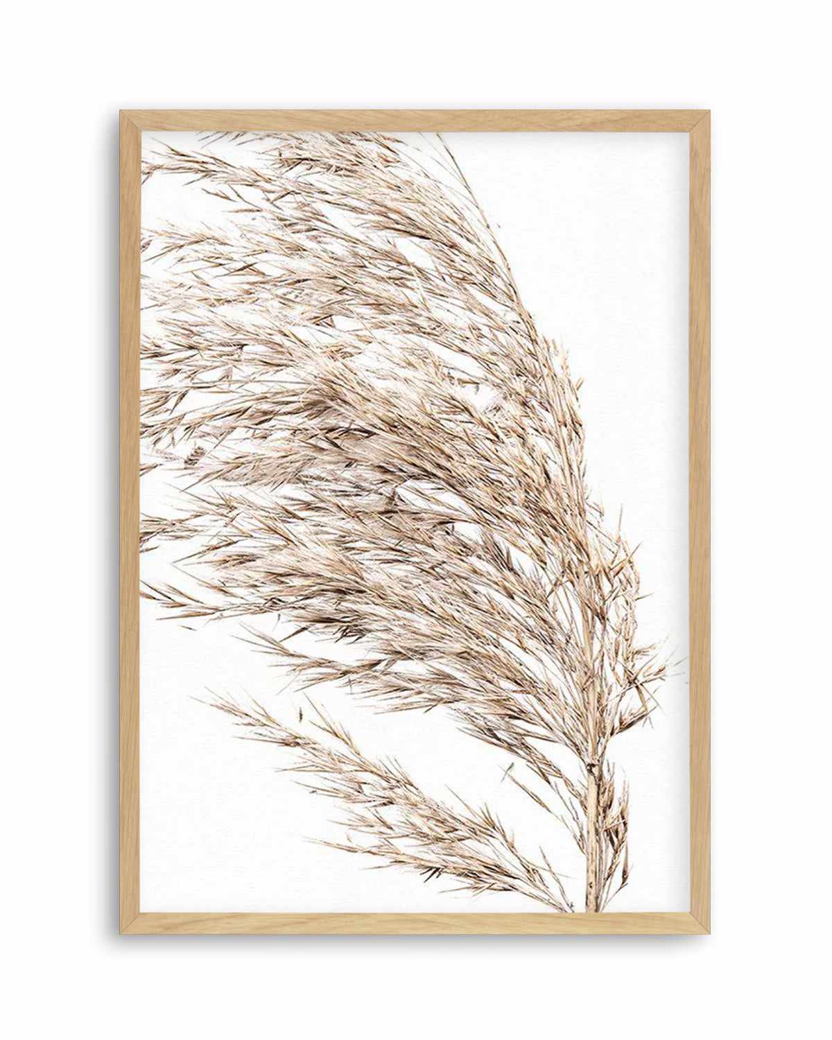 Sea Grass II Art Print