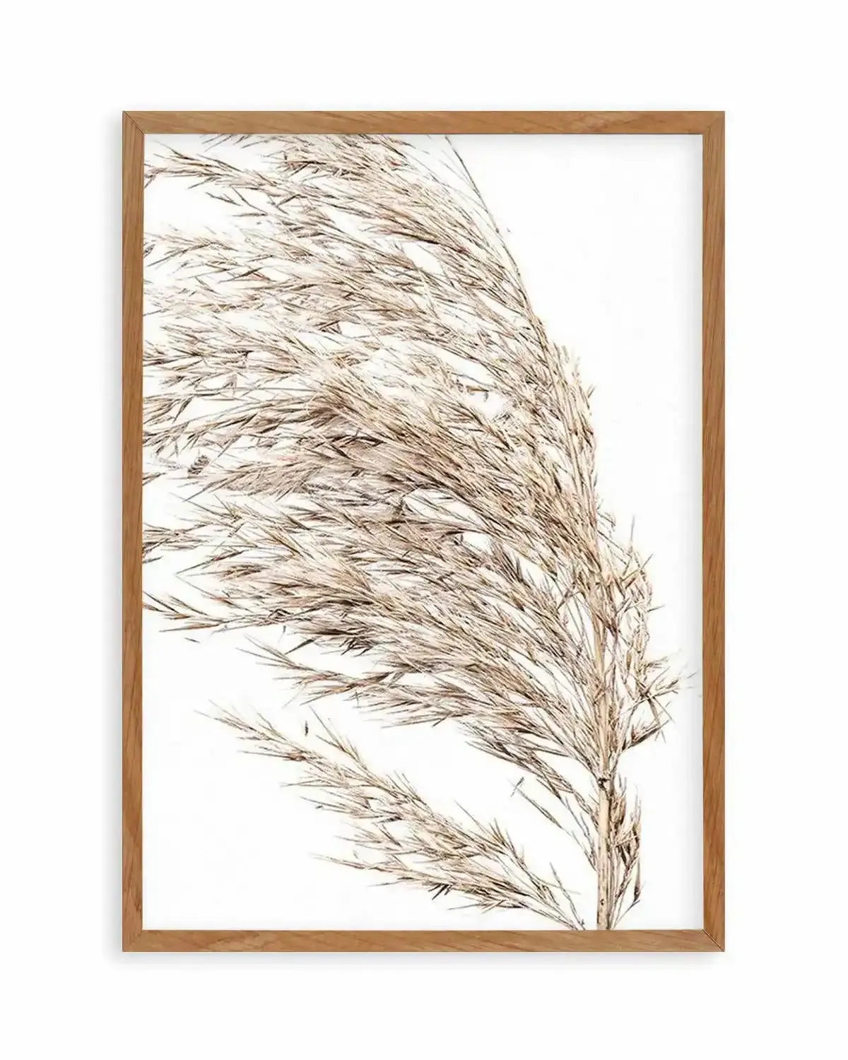 Sea Grass II Art Print from Olive et Oriel where you can shop wallpaper and artworks online