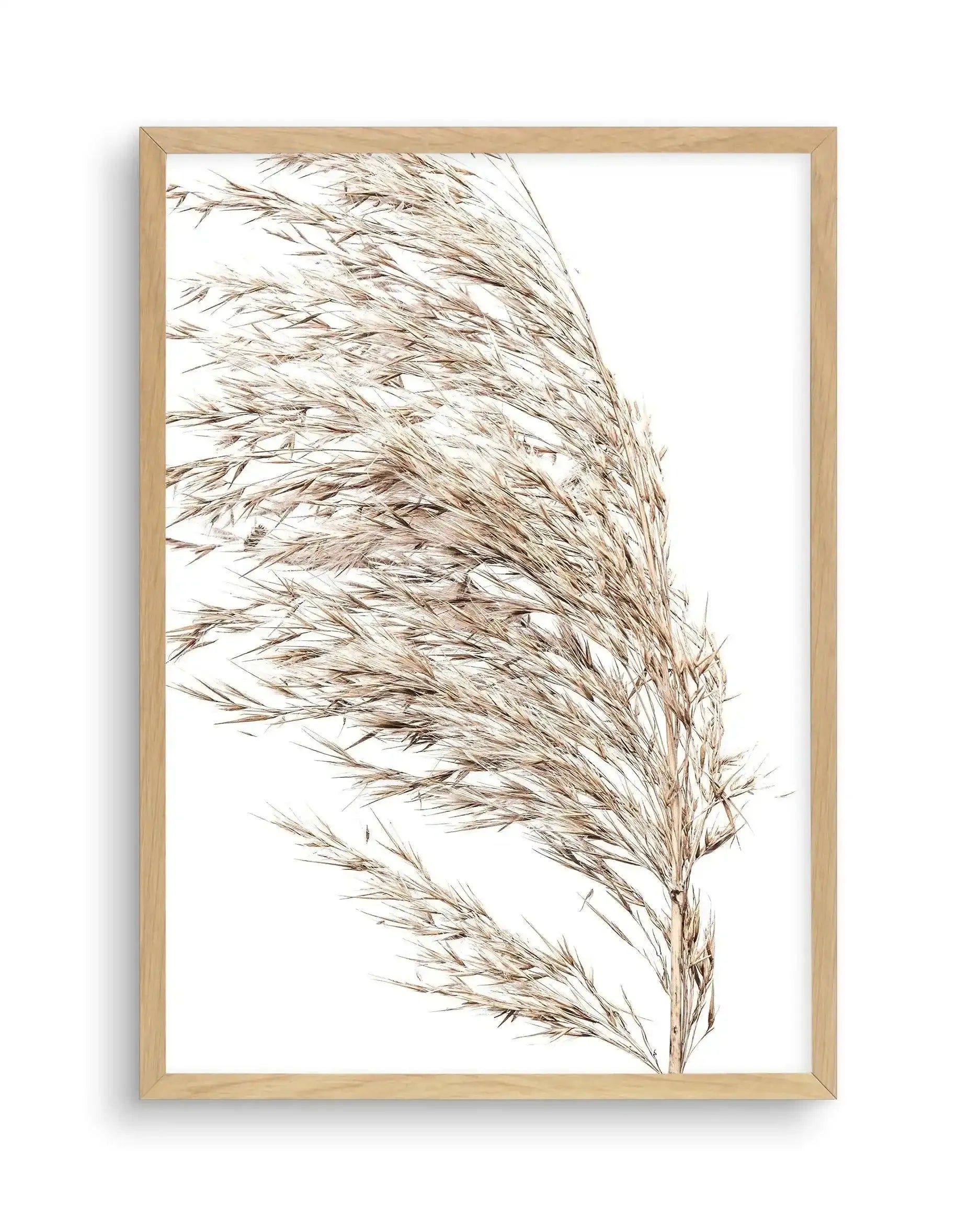 Sea Grass II Art Print-Buy-Bohemian-Wall-Art-Print-And-Boho-Pictures-from-Olive-et-Oriel-Bohemian-Wall-Art-Print-And-Boho-Pictures-And-Also-Boho-Abstract-Art-Paintings-On-Canvas-For-A-Girls-Bedroom-Wall-Decor-Collection-of-Boho-Style-Feminine-Art-Poster-and-Framed-Artwork-Update-Your-Home-Decorating-Style-With-These-Beautiful-Wall-Art-Prints-Australia