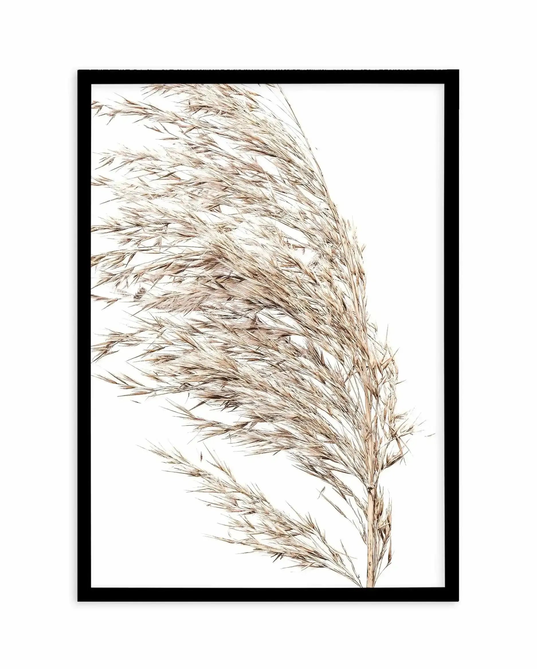 Sea Grass II Art Print-Buy-Bohemian-Wall-Art-Print-And-Boho-Pictures-from-Olive-et-Oriel-Bohemian-Wall-Art-Print-And-Boho-Pictures-And-Also-Boho-Abstract-Art-Paintings-On-Canvas-For-A-Girls-Bedroom-Wall-Decor-Collection-of-Boho-Style-Feminine-Art-Poster-and-Framed-Artwork-Update-Your-Home-Decorating-Style-With-These-Beautiful-Wall-Art-Prints-Australia