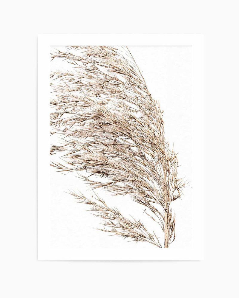 Sea Grass II Art Print