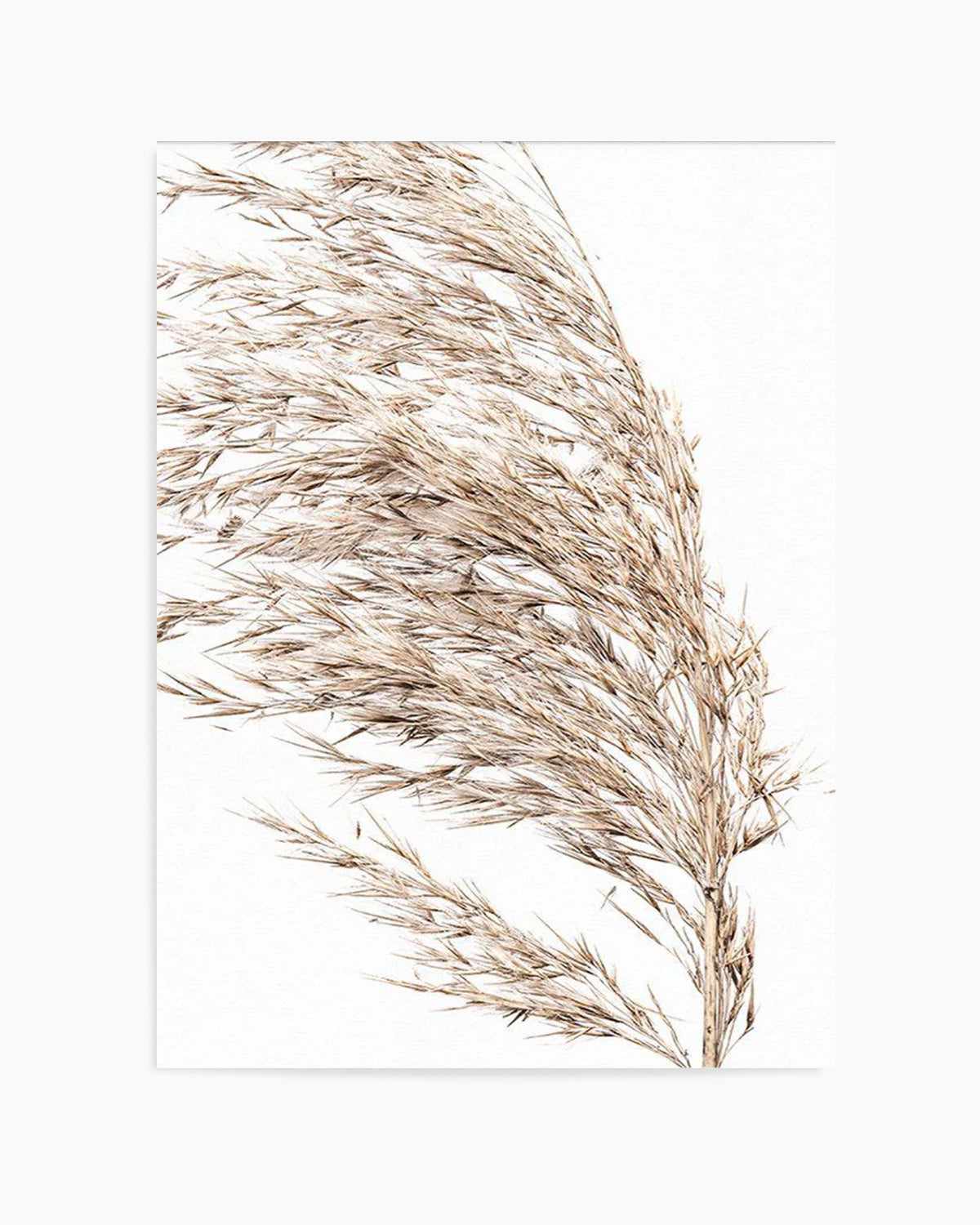 Sea Grass II Art Print