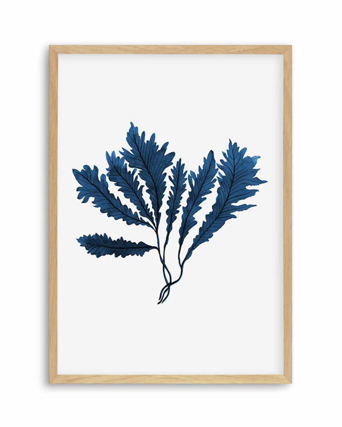 Sea Kelp II Art Print