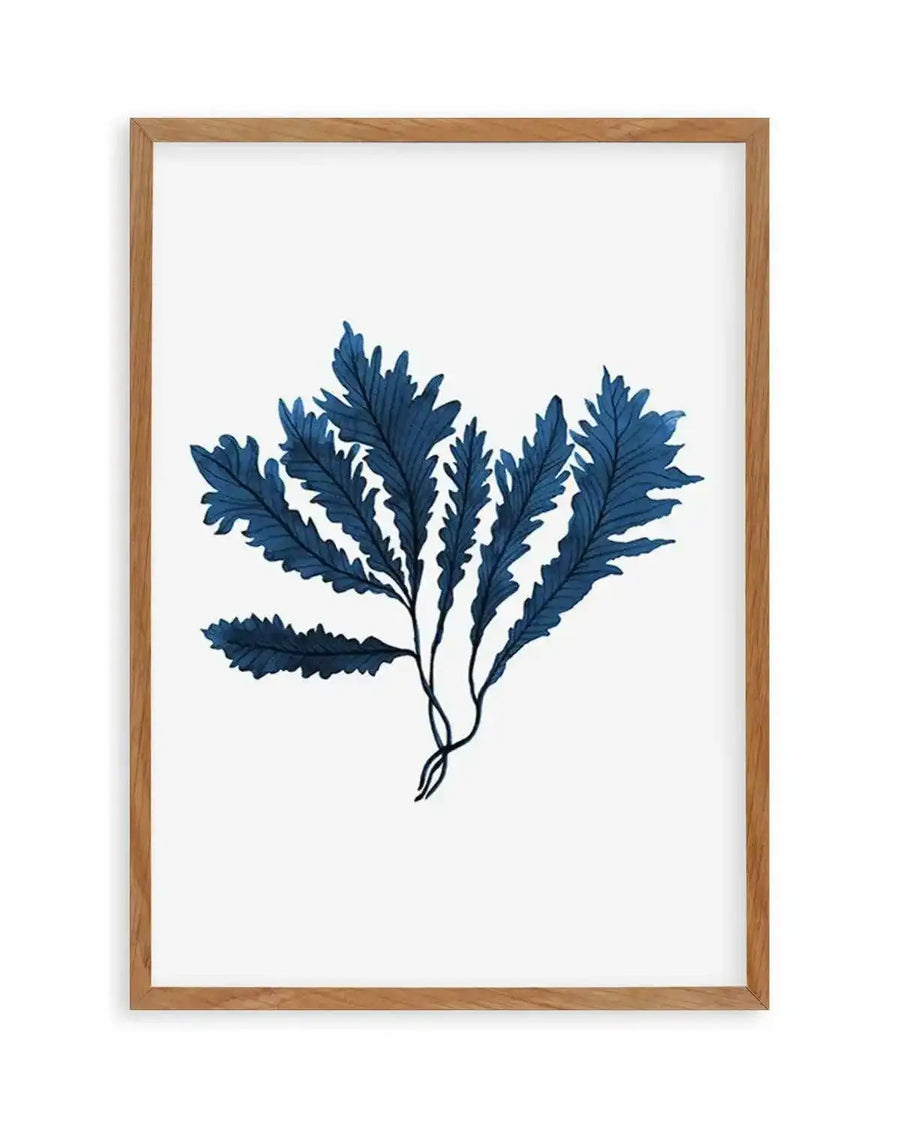 Sea Kelp II Art Print from Olive et Oriel where you can shop wallpaper and artworks online