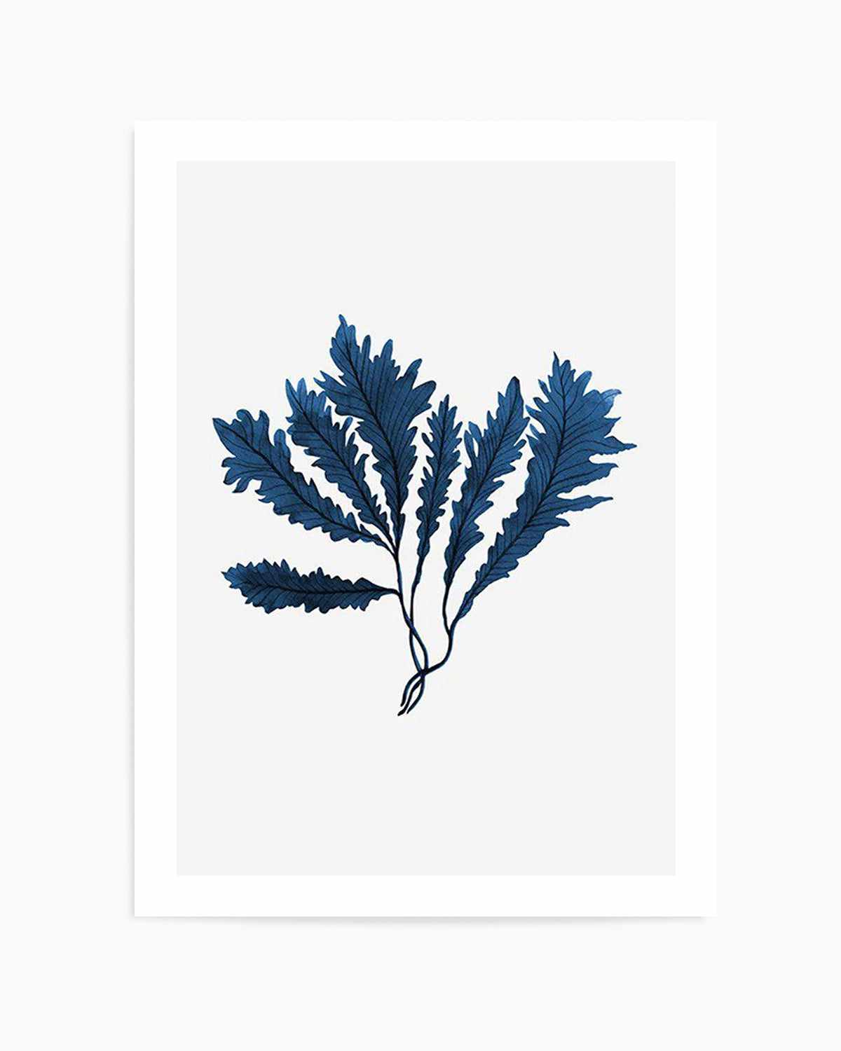 Sea Kelp II Art Print