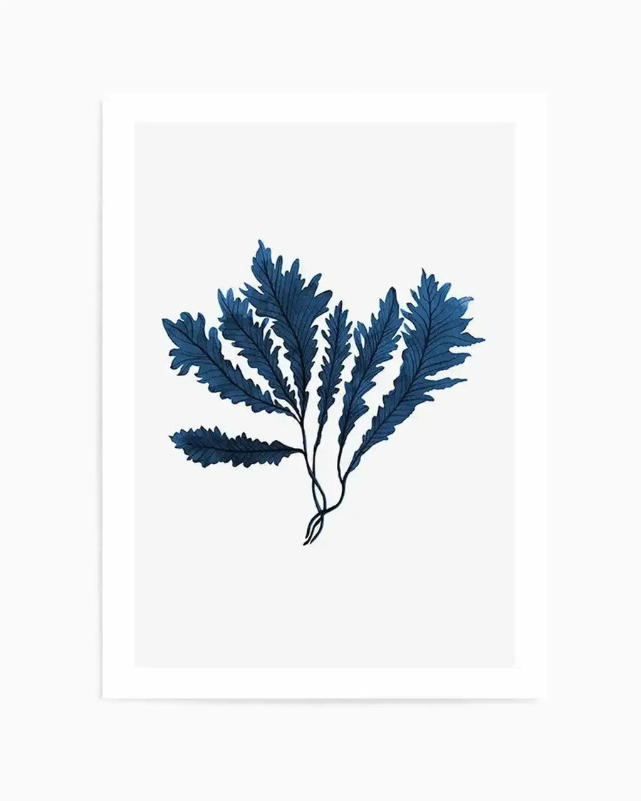 Sea Kelp II Art Print from Olive et Oriel where you can shop wallpaper and artworks online