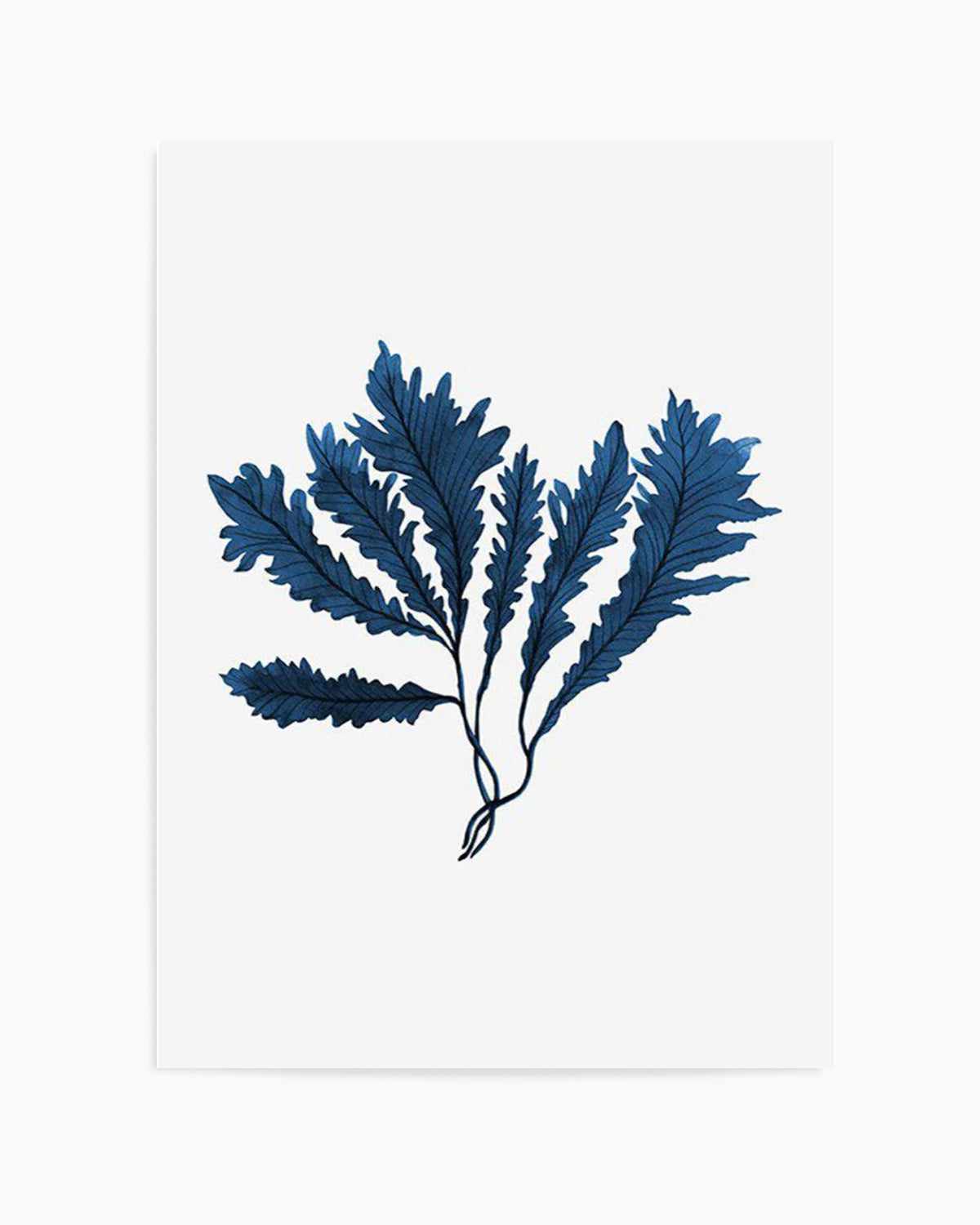 Sea Kelp II Art Print