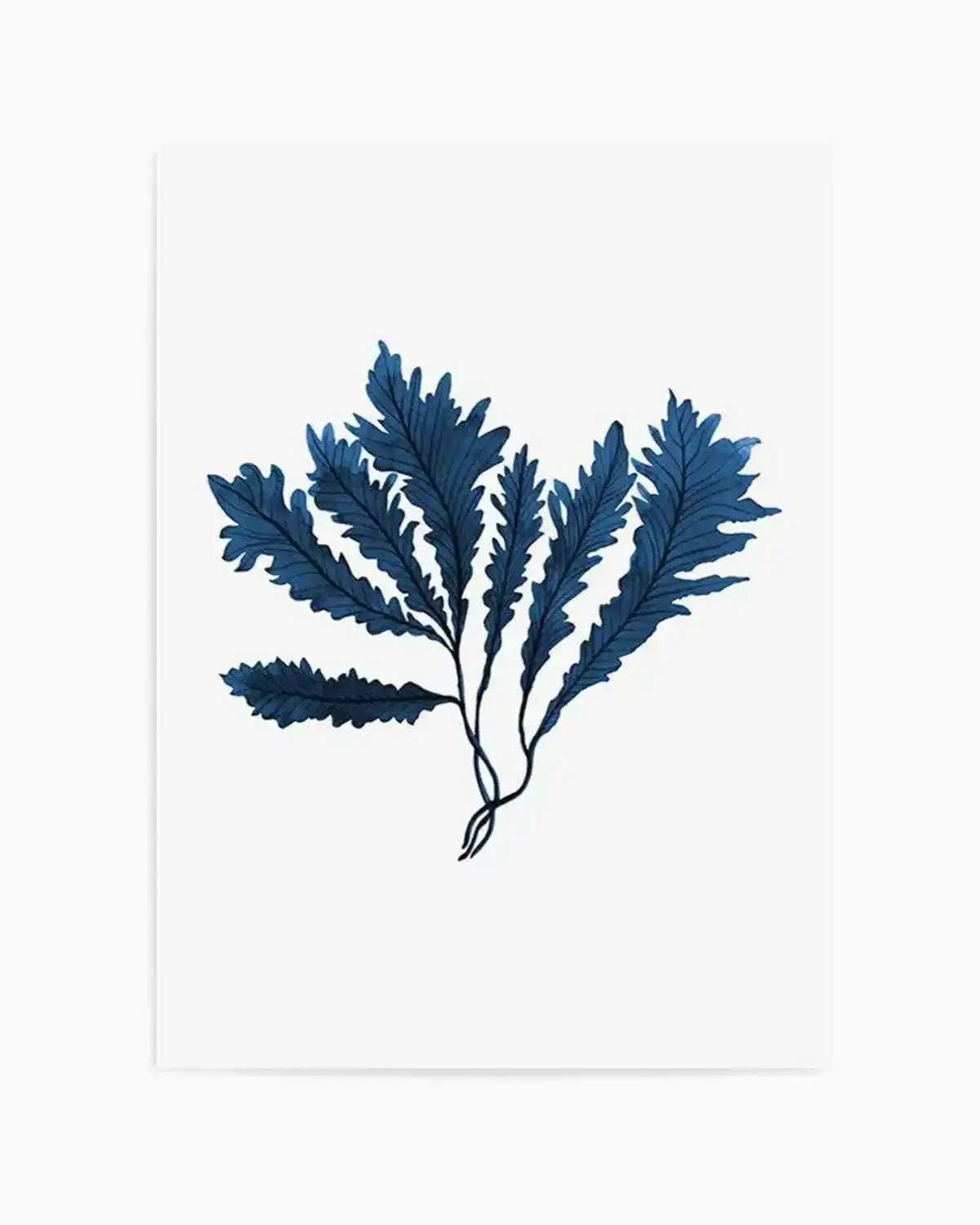 Sea Kelp II Art Print from Olive et Oriel where you can shop wallpaper and artworks online