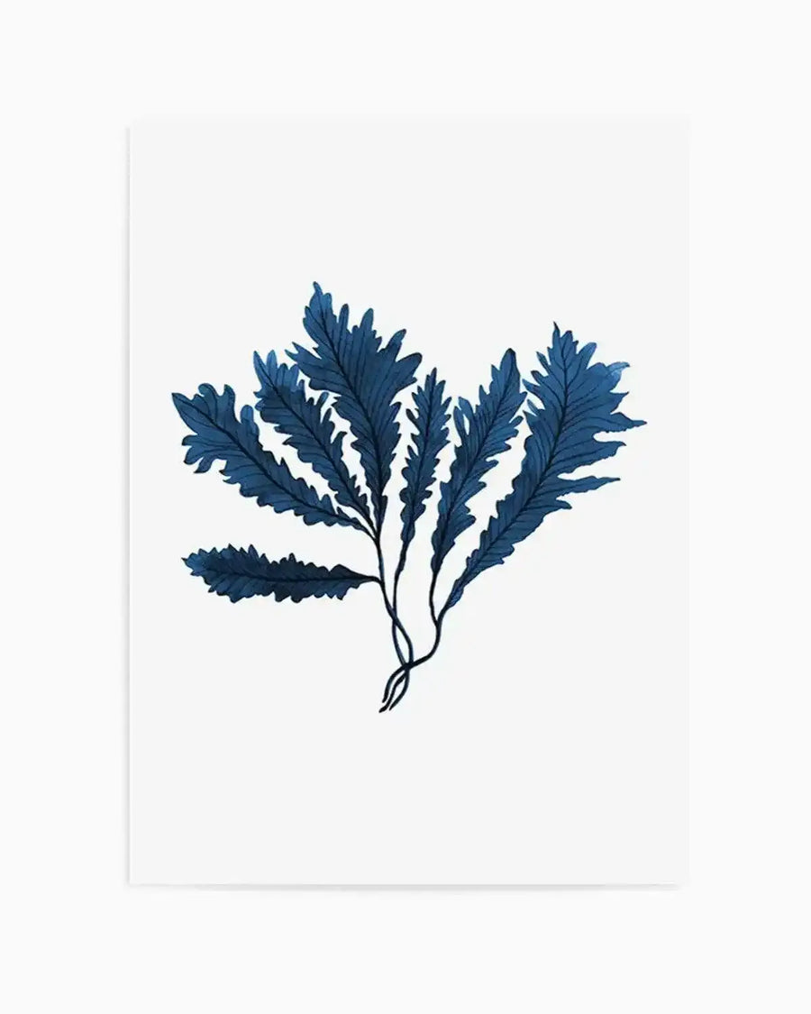 Sea Kelp II Art Print from Olive et Oriel where you can shop wallpaper and artworks online