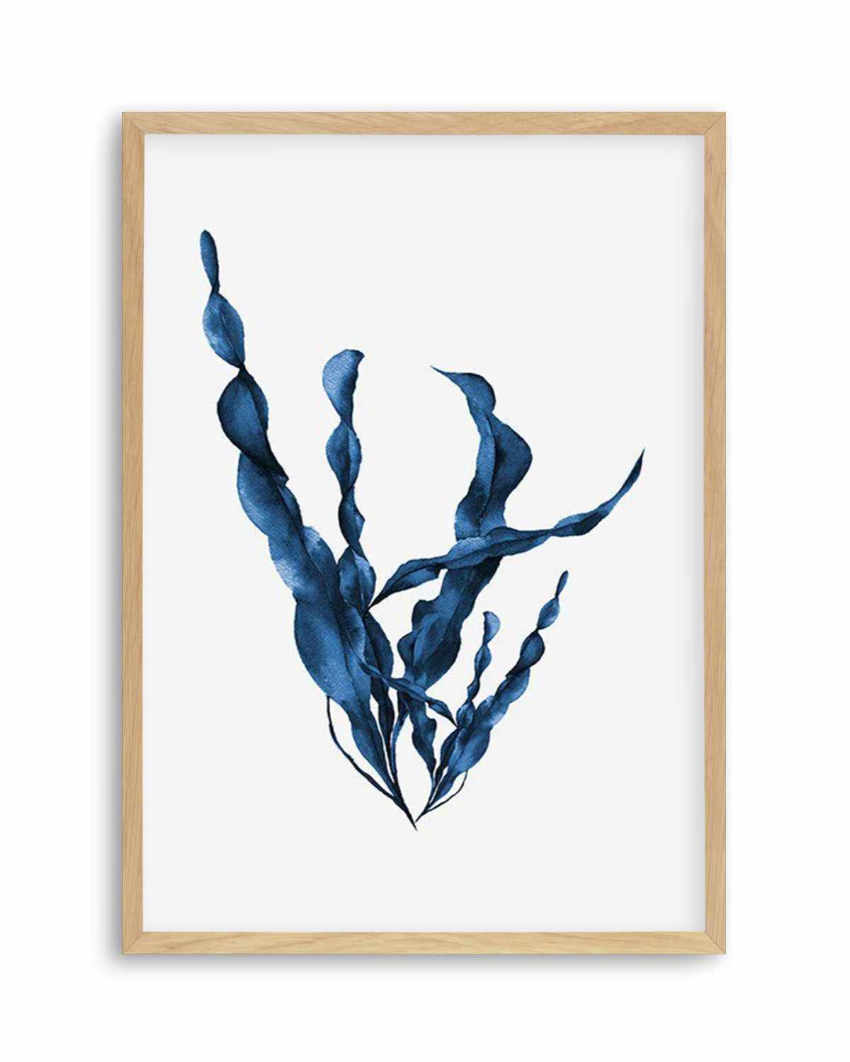 Sea Kelp IV Art Print