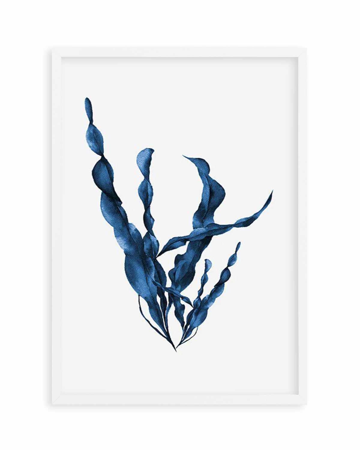 Sea Kelp IV Art Print