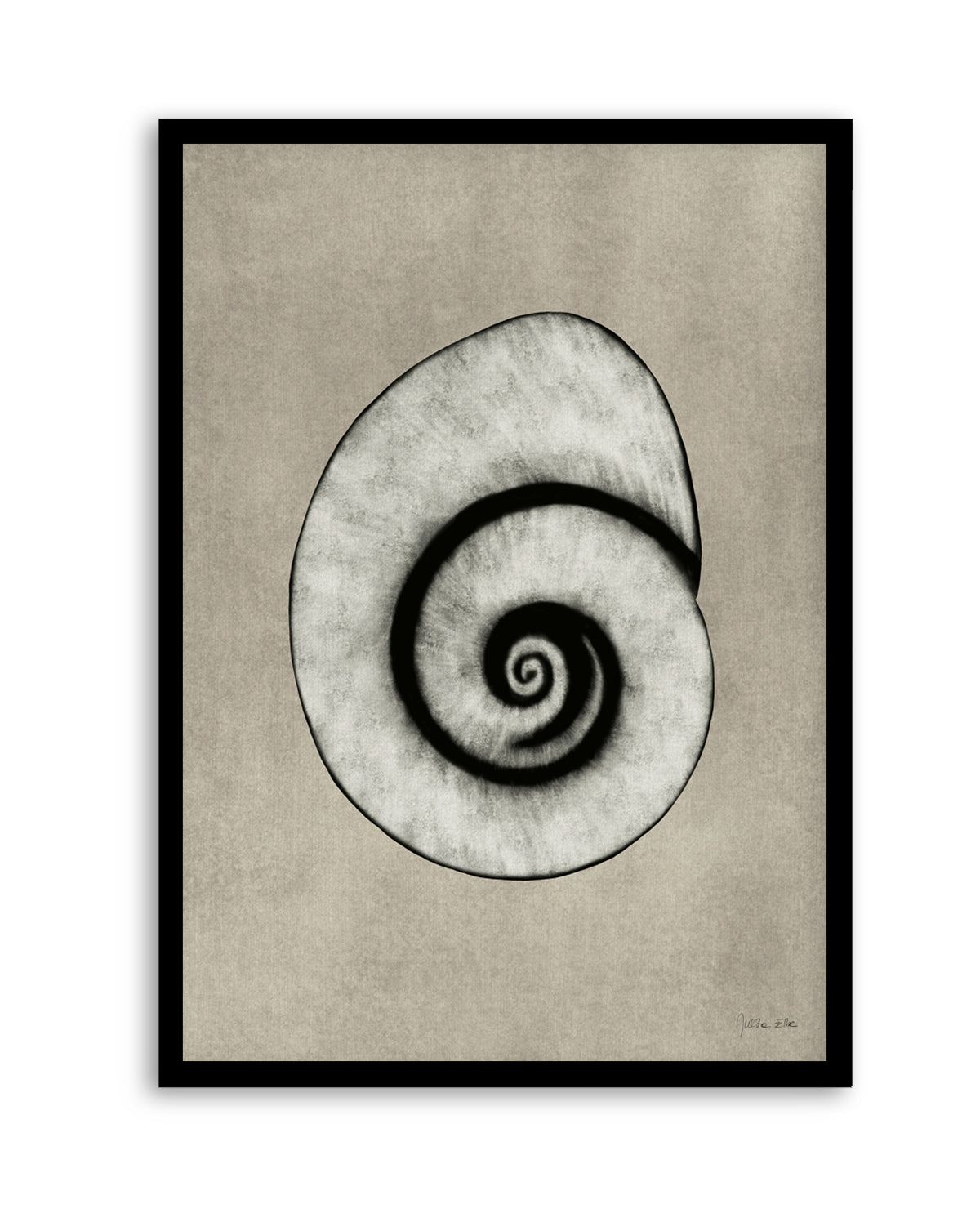 Sea Shells 01 by Julita Elbe | Art Print