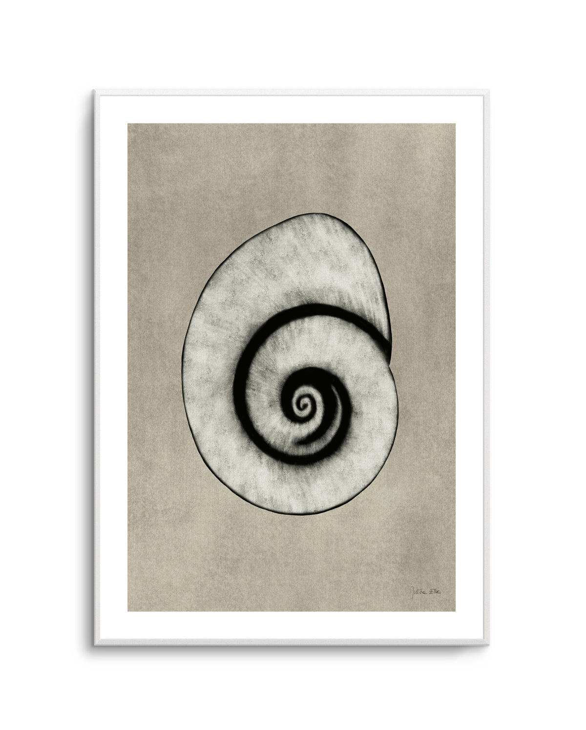 Sea Shells 01 by Julita Elbe | Art Print