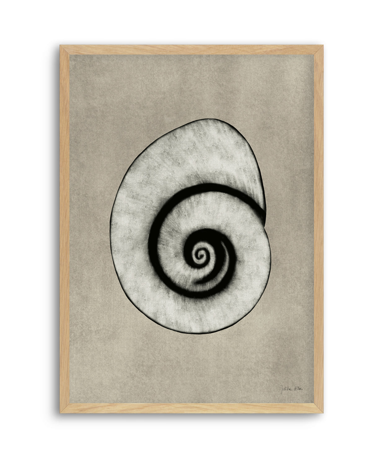 Sea Shells 01 by Julita Elbe | Art Print