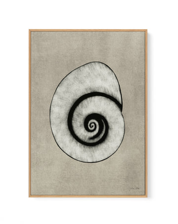 Sea Shells 01 by Julita Elbe | Framed Canvas Wall Art
