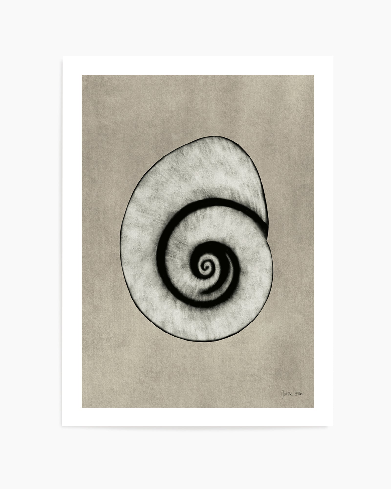 Sea Shells 01 by Julita Elbe | Art Print