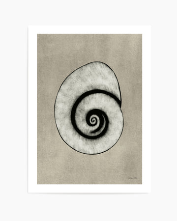 Sea Shells 01 by Julita Elbe | Art Print
