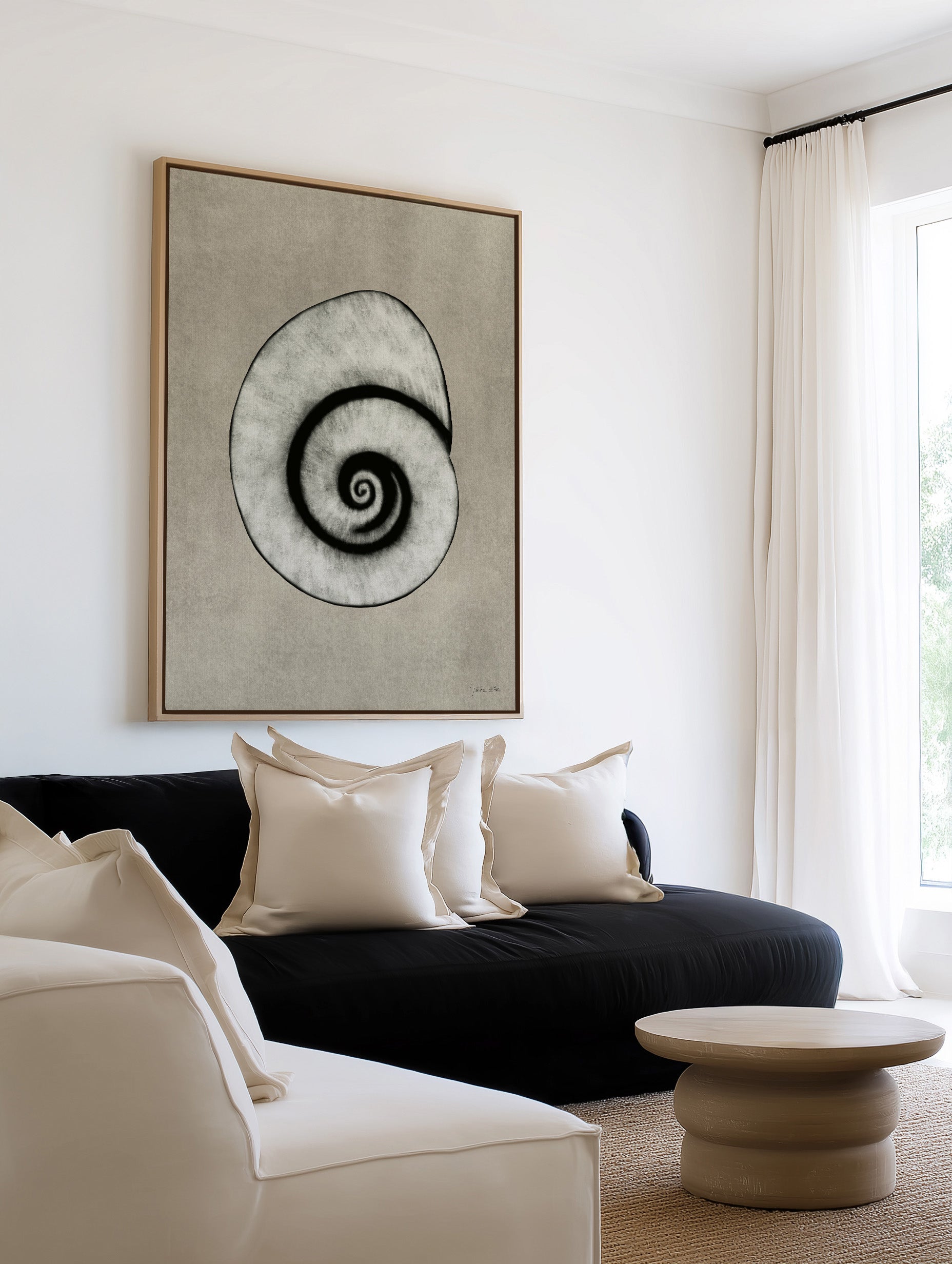 Sea Shells 01 by Julita Elbe | Framed Canvas Art Print