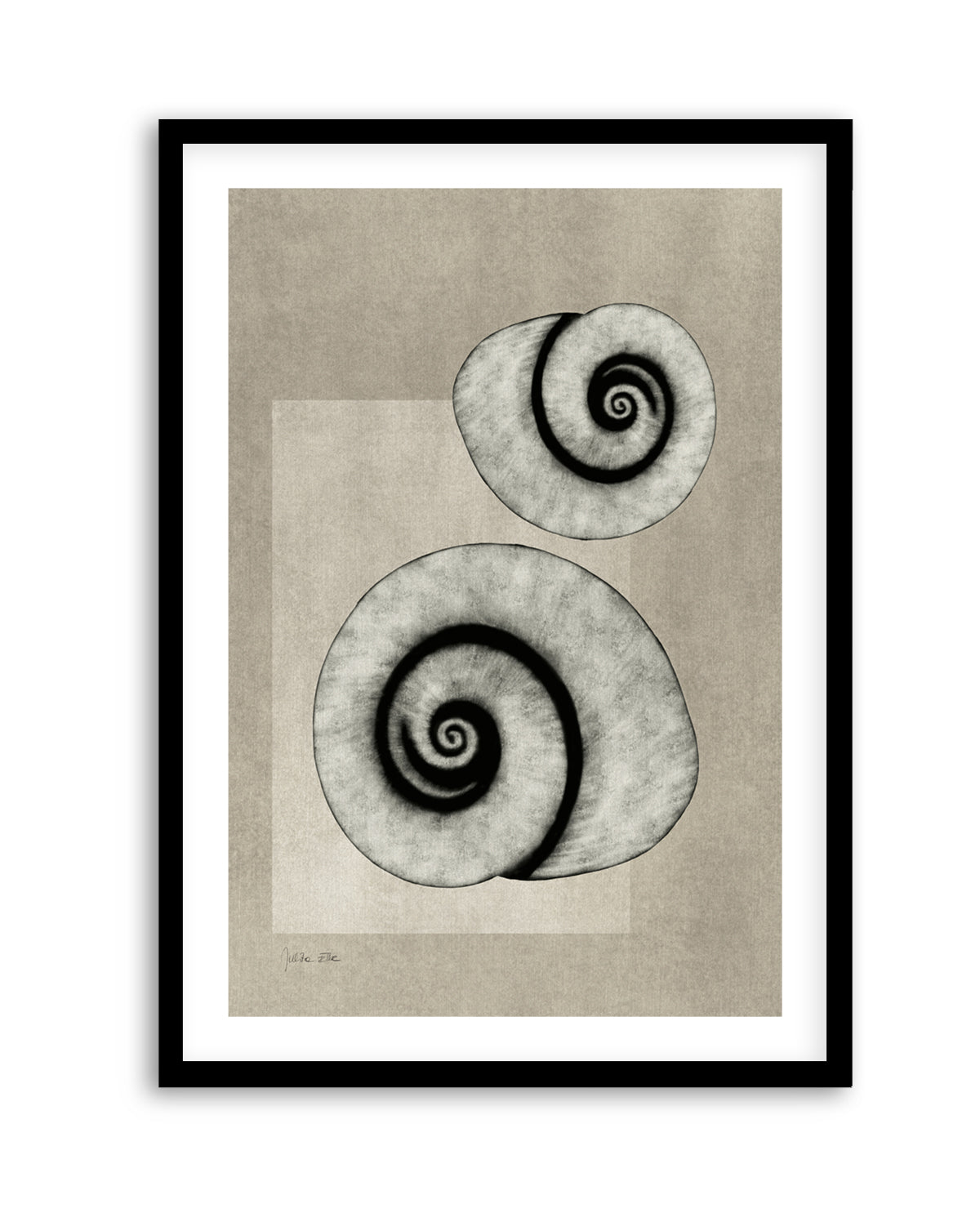 Sea Shells 02 by Julita Elbe | Art Print