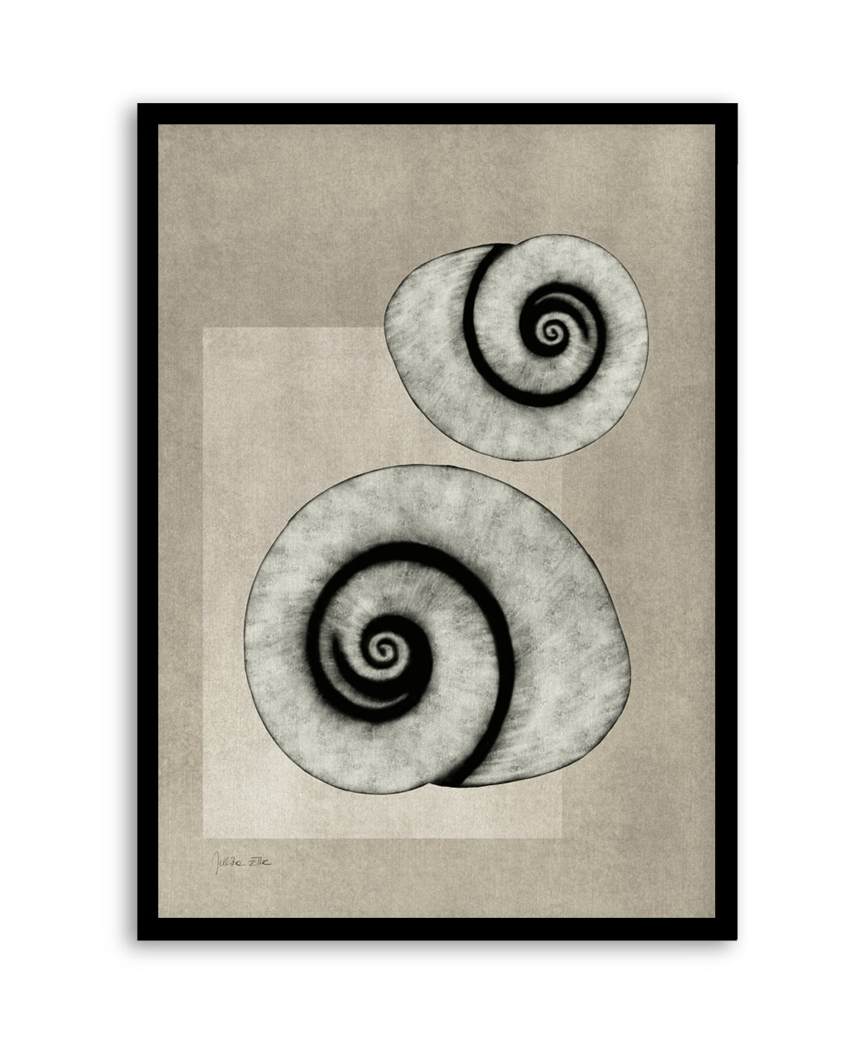 Sea Shells 02 by Julita Elbe | Art Print