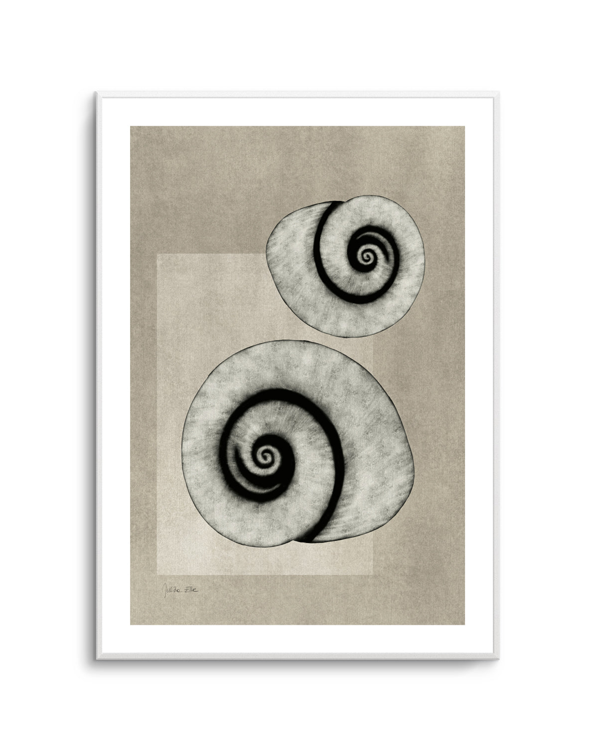 Sea Shells 02 by Julita Elbe | Art Print