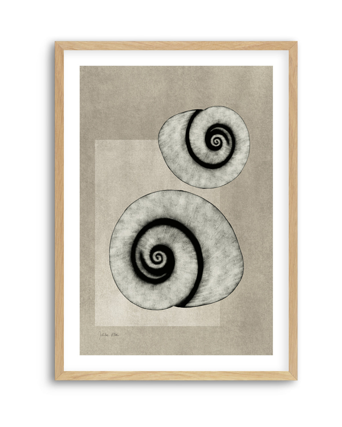Sea Shells 02 by Julita Elbe | Art Print