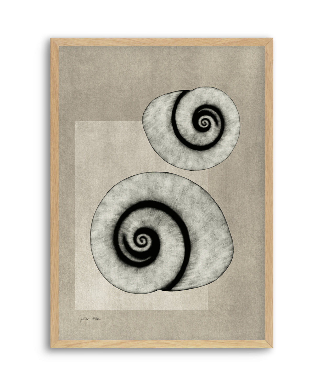 Sea Shells 02 by Julita Elbe | Art Print