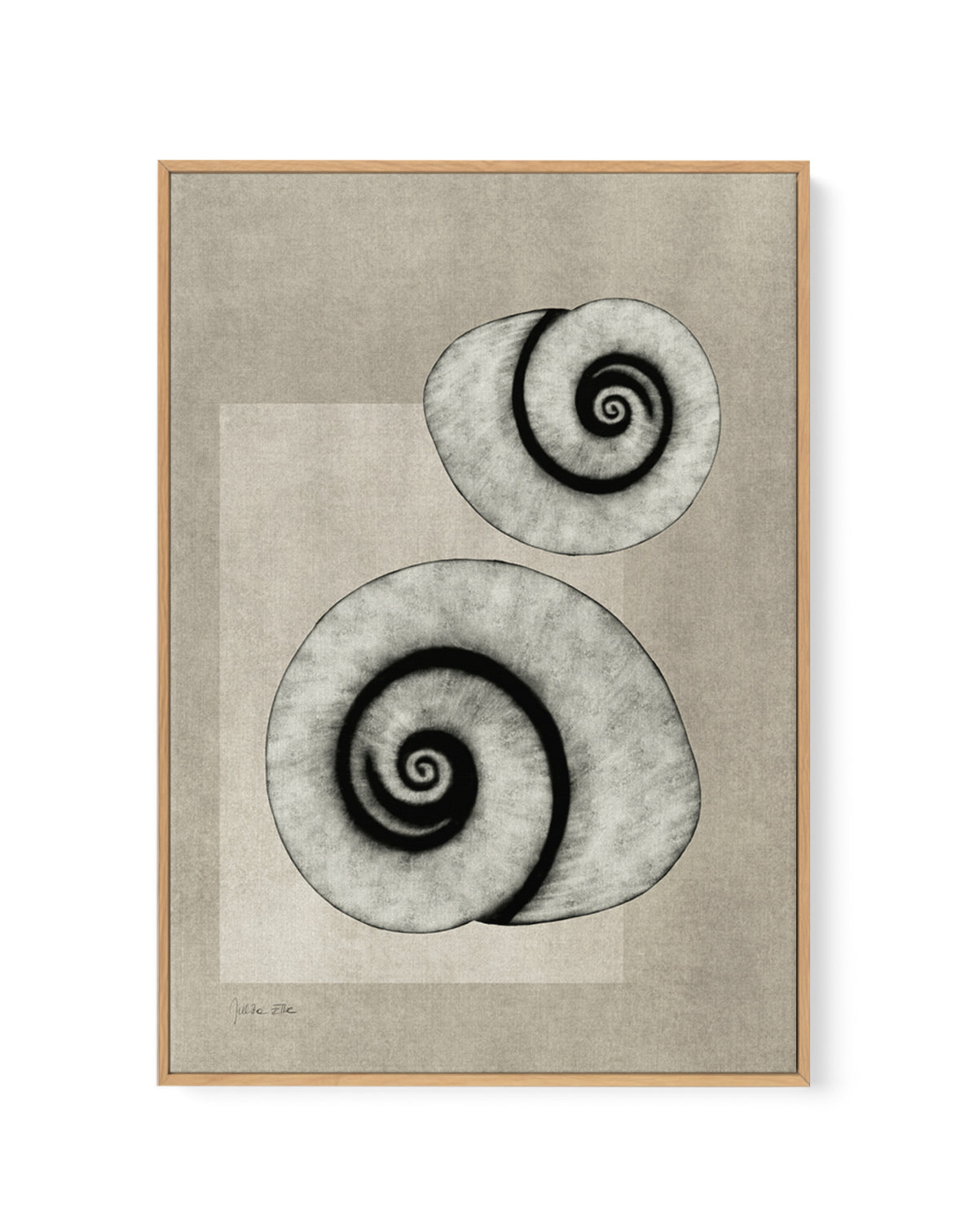 Sea Shells 02 by Julita Elbe | Framed Canvas Art Print