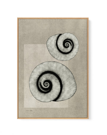 Sea Shells 02 by Julita Elbe | Framed Canvas Wall Art