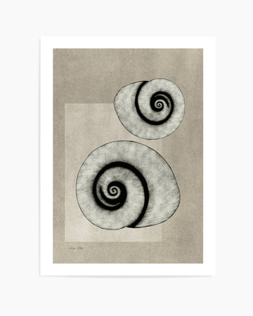 Sea Shells 02 by Julita Elbe | Art Print