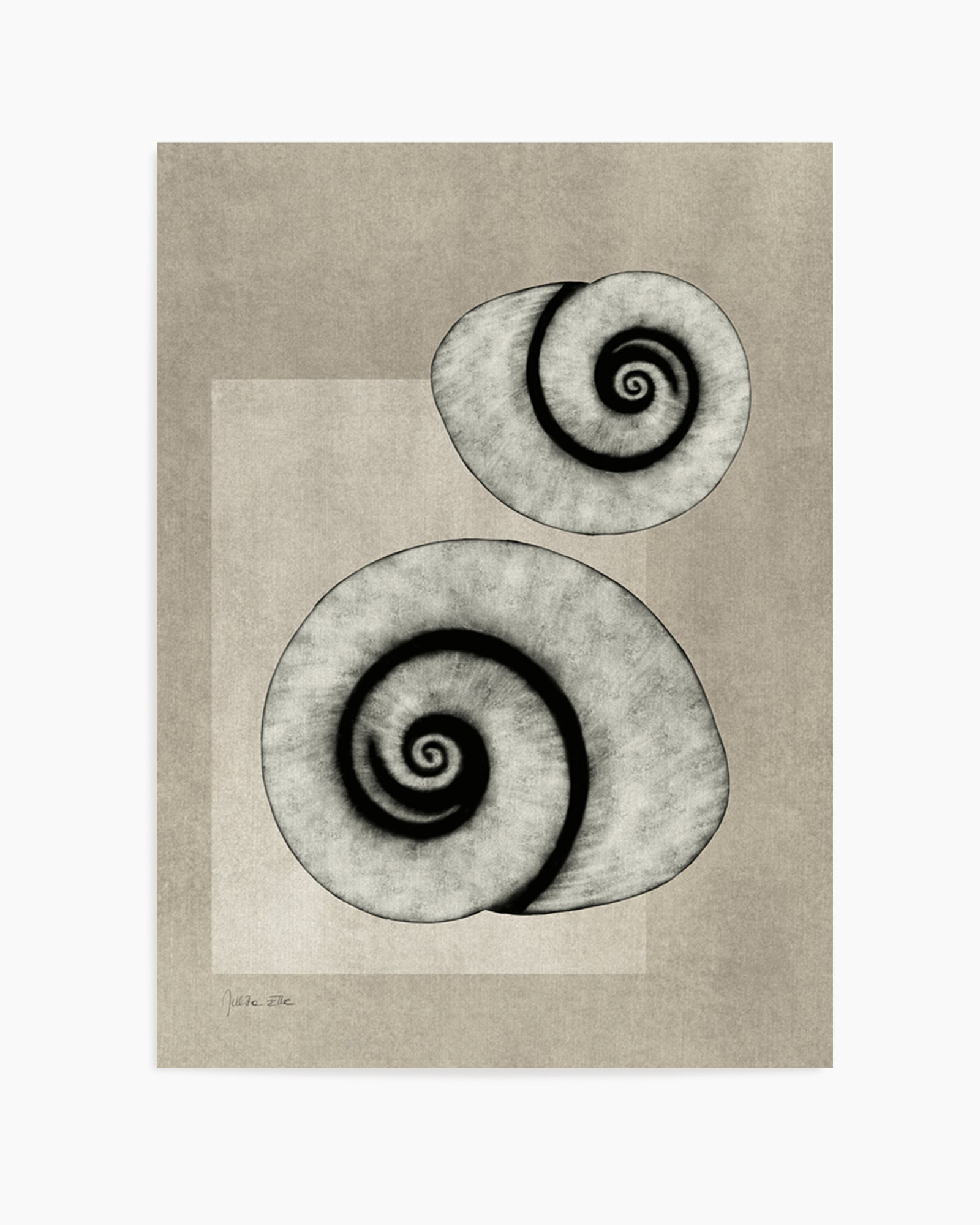 Sea Shells 02 by Julita Elbe | Art Print