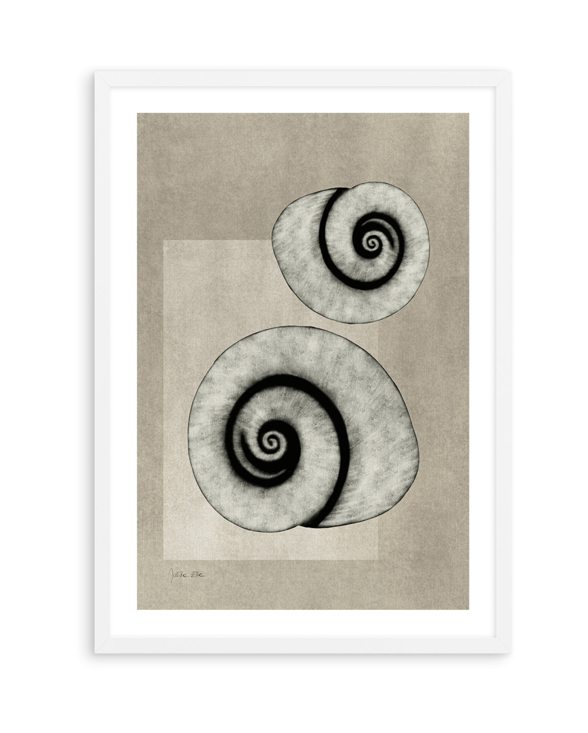 Sea Shells 02 by Julita Elbe | Art Print