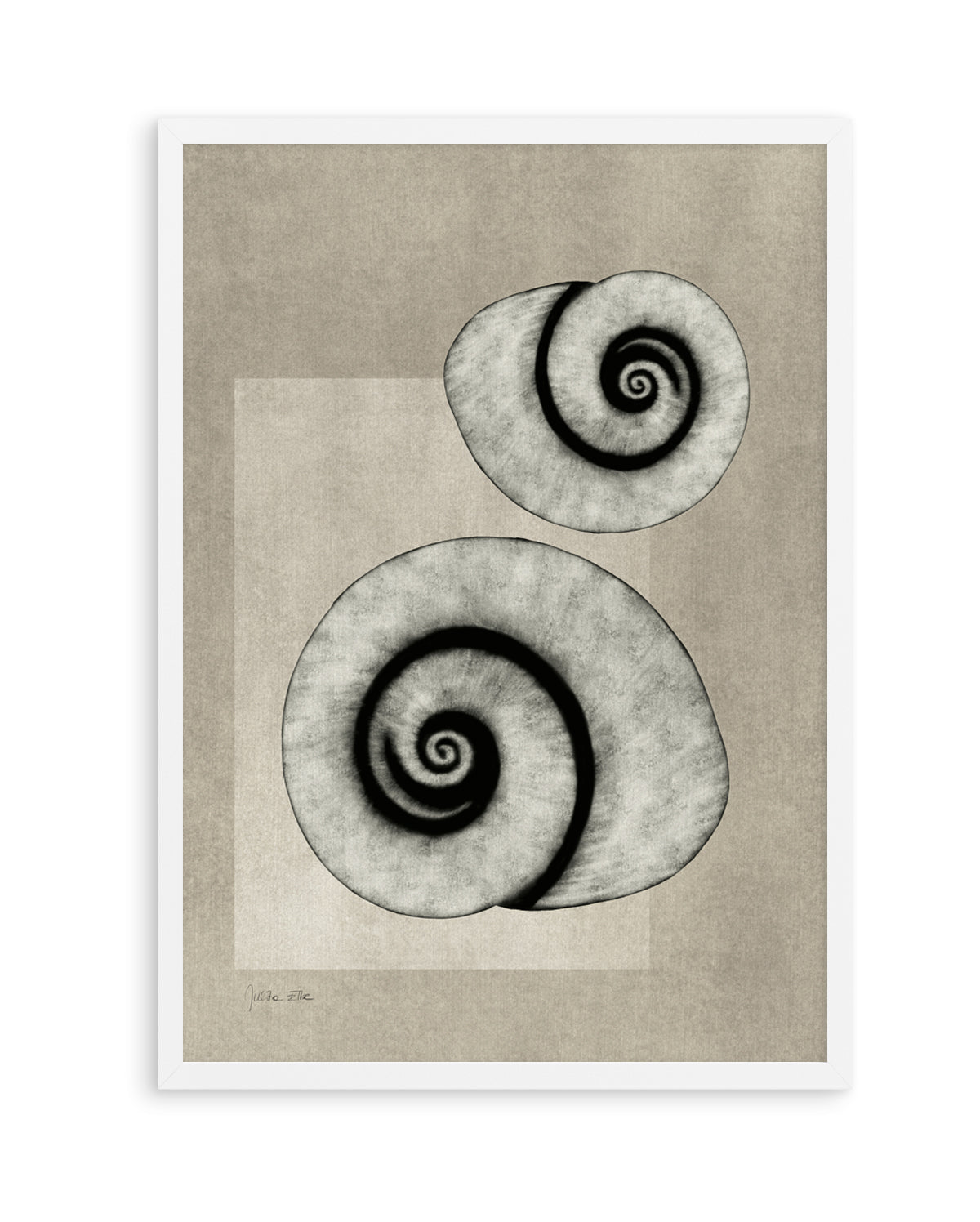 Sea Shells 02 by Julita Elbe | Art Print