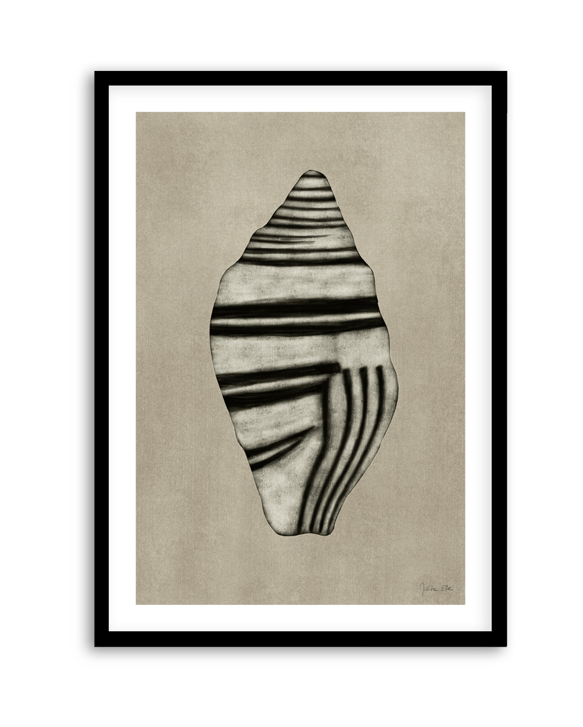 Sea Shells 03 by Julita Elbe | Art Print
