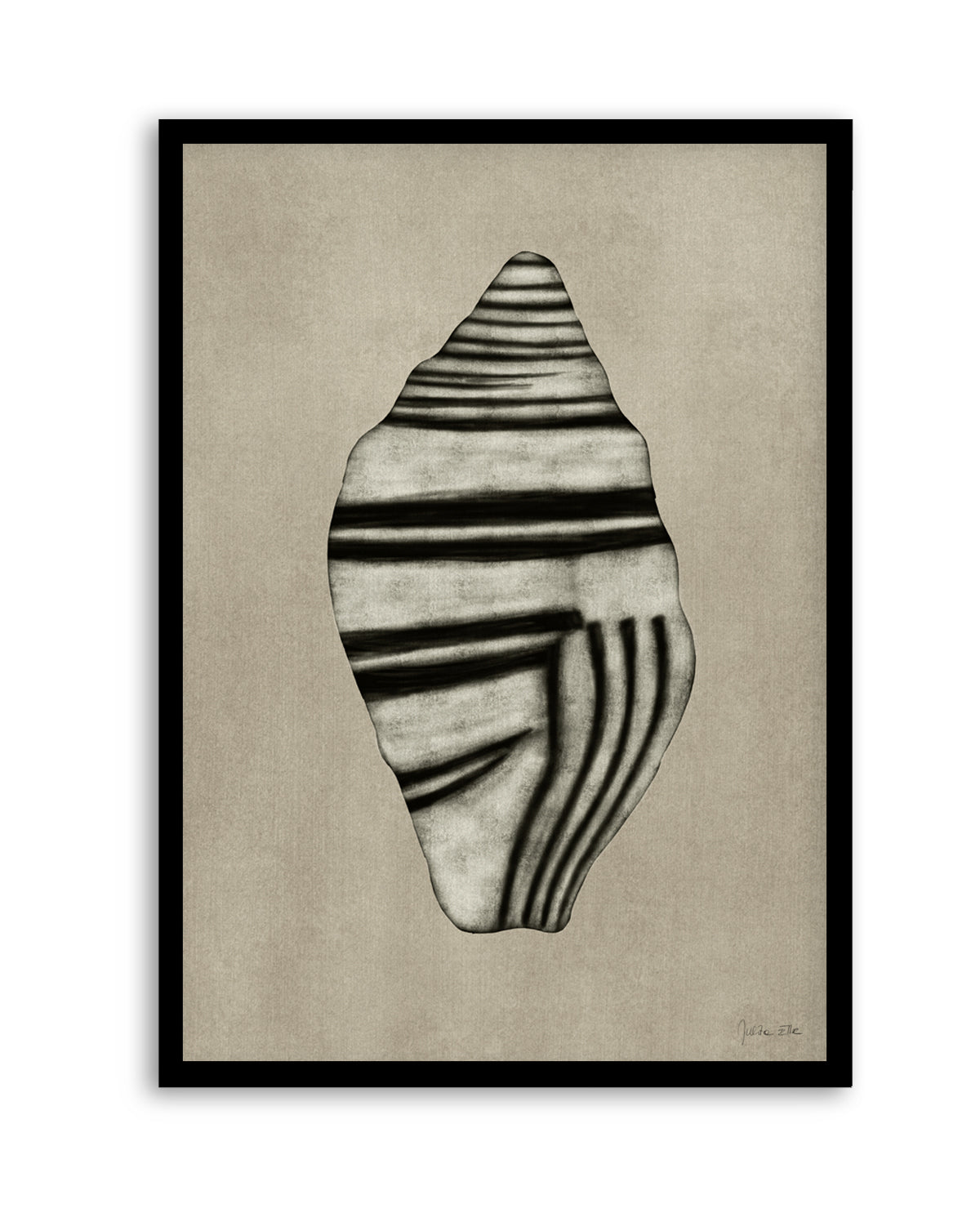 Sea Shells 03 by Julita Elbe | Art Print