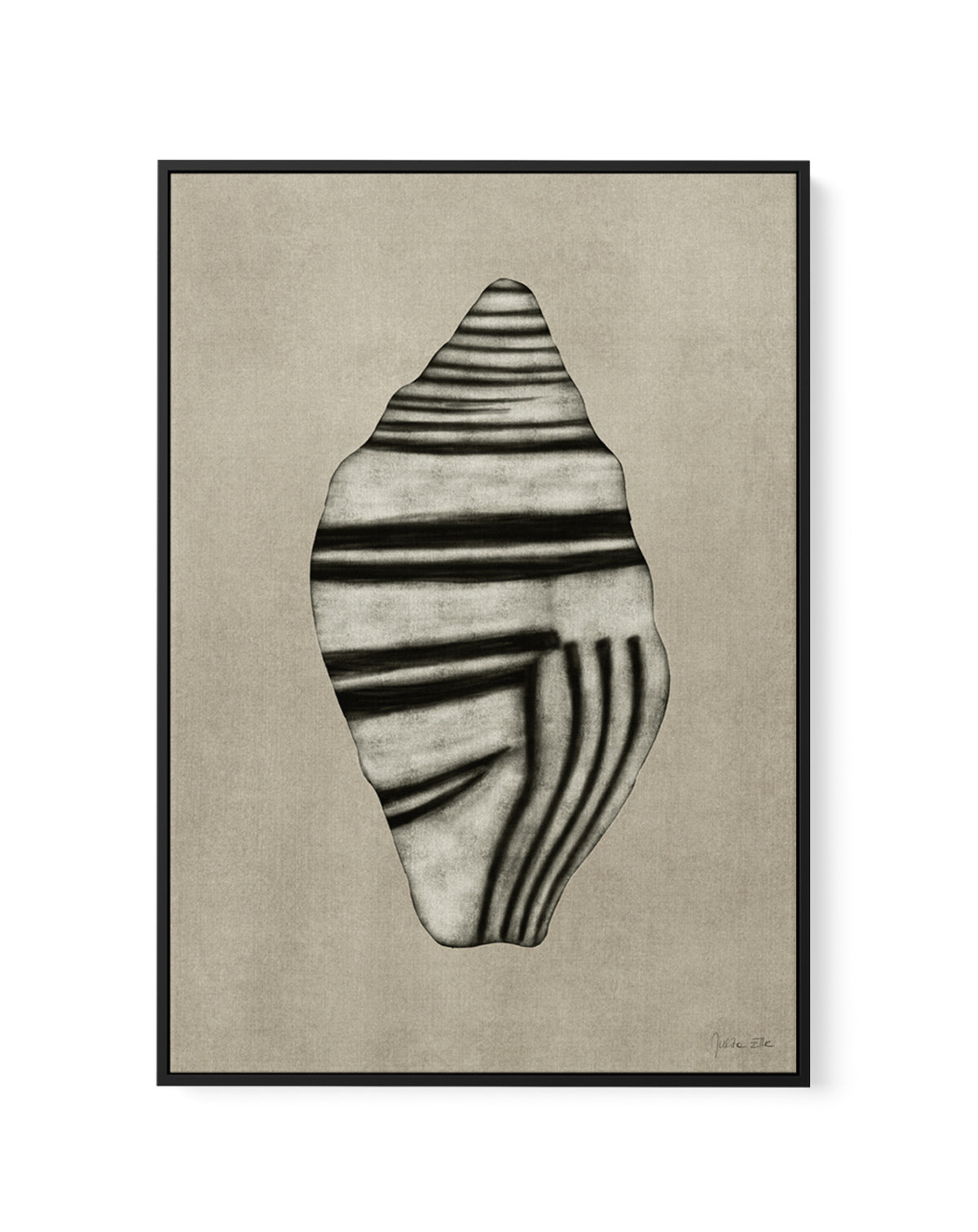 Sea Shells 03 by Julita Elbe | Framed Canvas Art Print