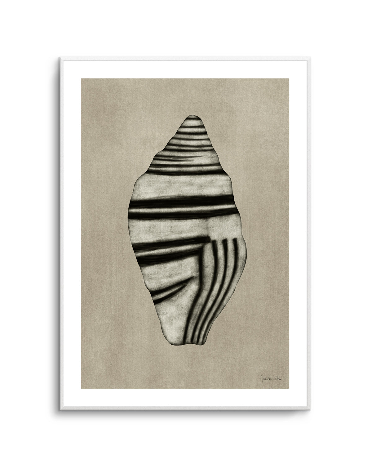 Sea Shells 03 by Julita Elbe | Art Print