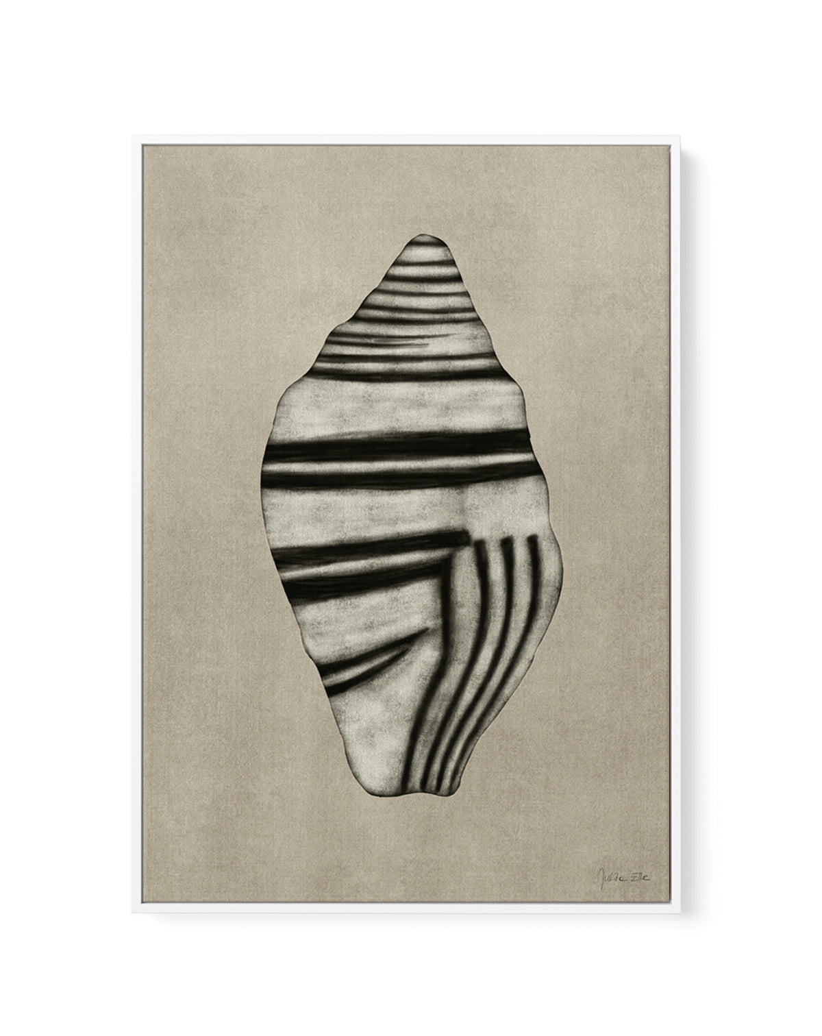 Sea Shells 03 by Julita Elbe | Framed Canvas Art Print