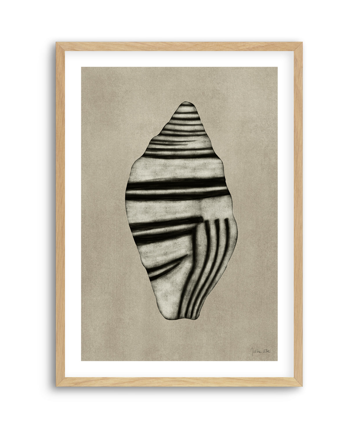 Sea Shells 03 by Julita Elbe | Art Print