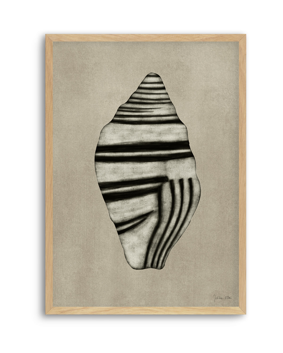 Sea Shells 03 by Julita Elbe | Art Print