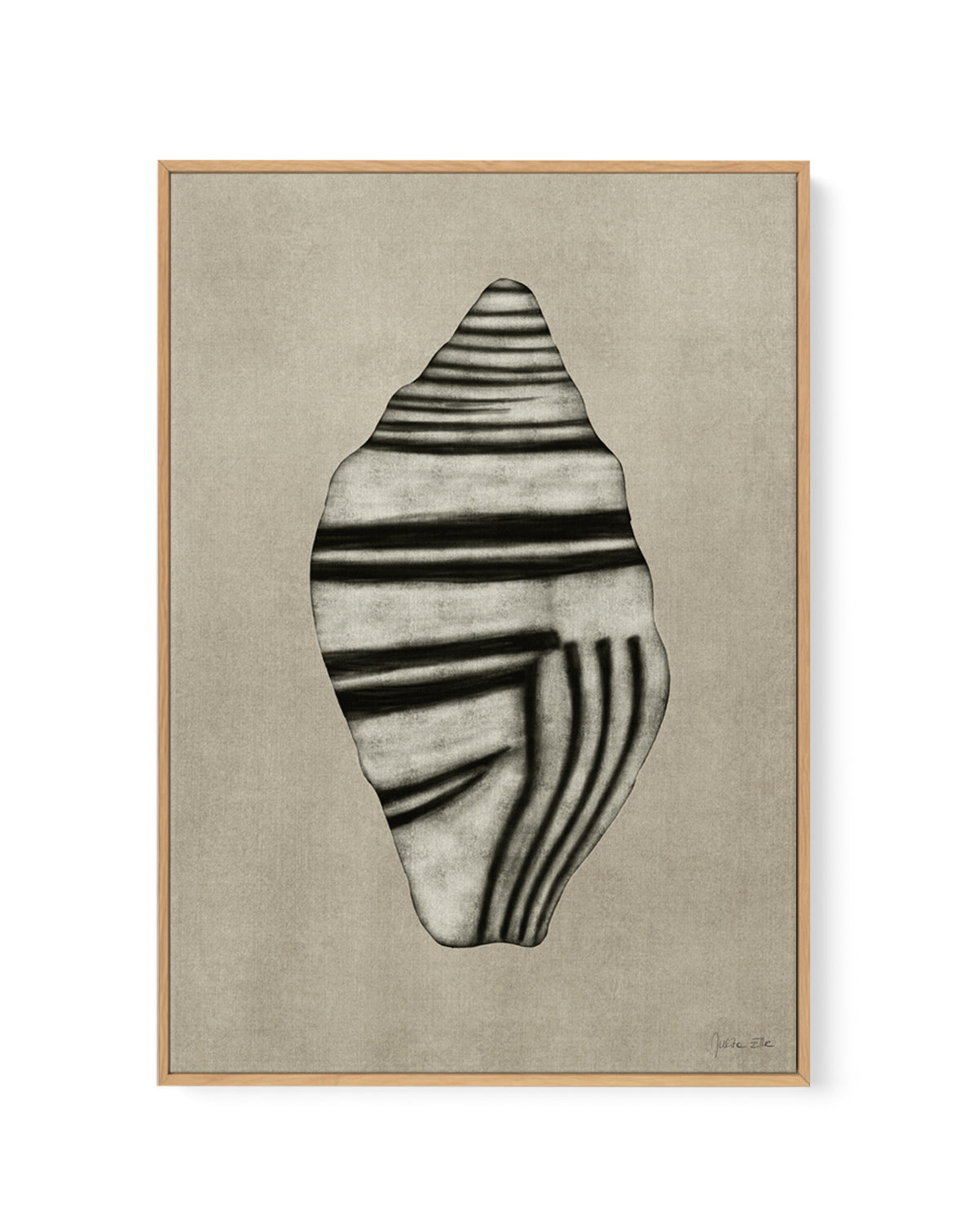 Sea Shells 03 by Julita Elbe | Framed Canvas Art Print