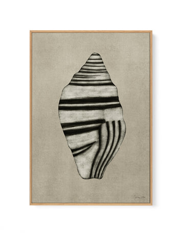 Sea Shells 03 by Julita Elbe | Framed Canvas Wall Art